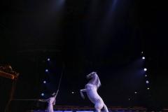 FRANCK-ETCHEVERRY_Circus-2031