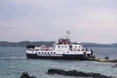 DSC2227