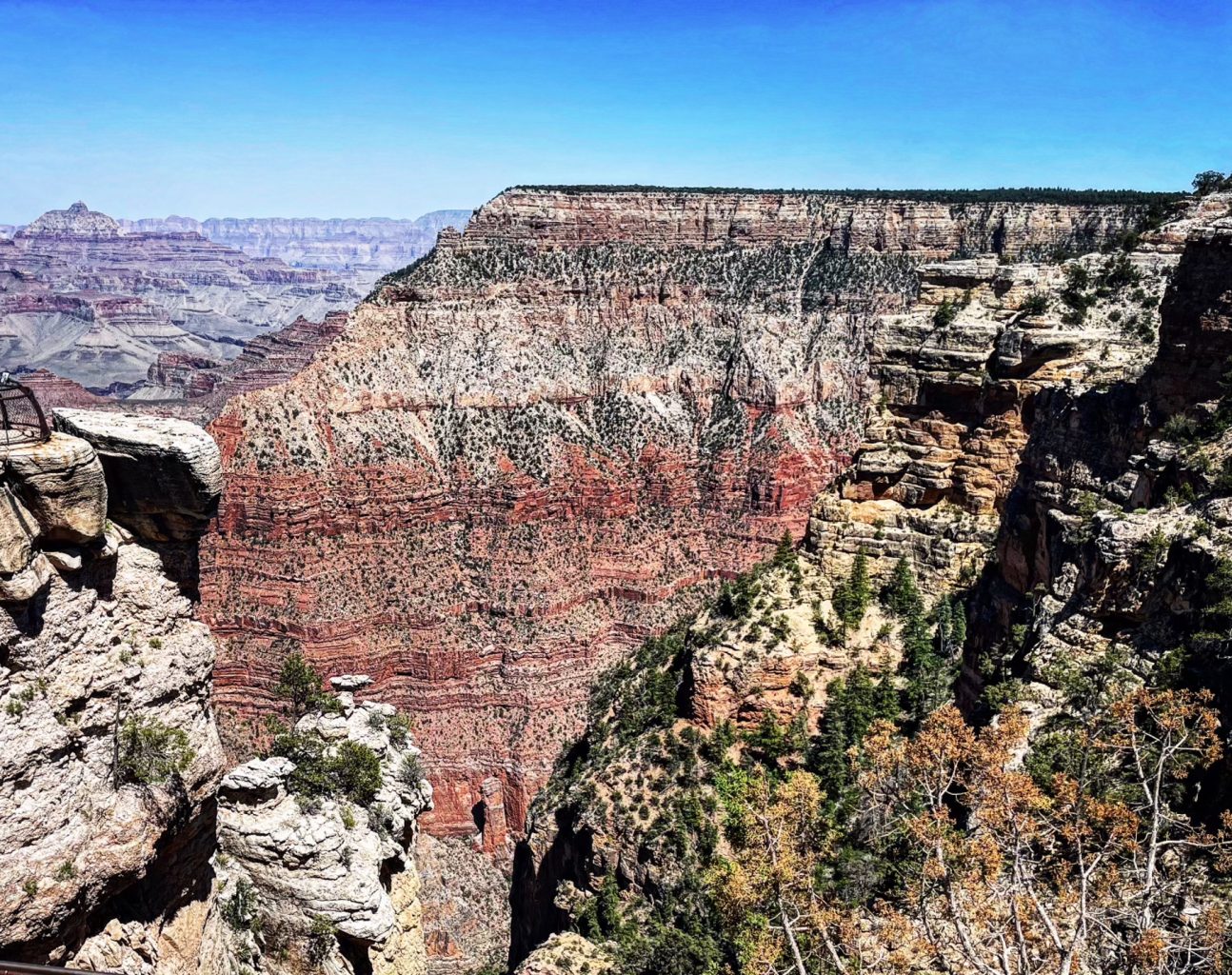 What Happened When I Tried to Like Arizona Anthrow Circus